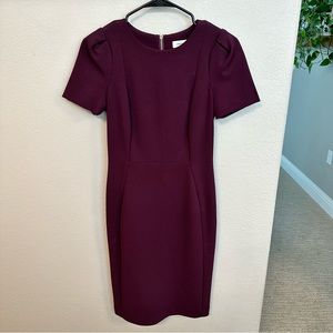 Calvin Klein Sheath Dress